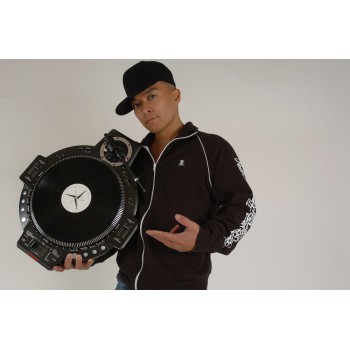 Ortofon Stylus Q.Bert